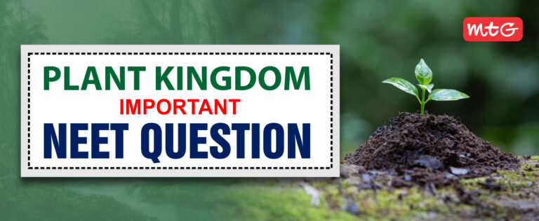 Plant Kingdom NEET Questions And Answers MTG Blog