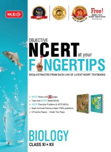 fingertips biology