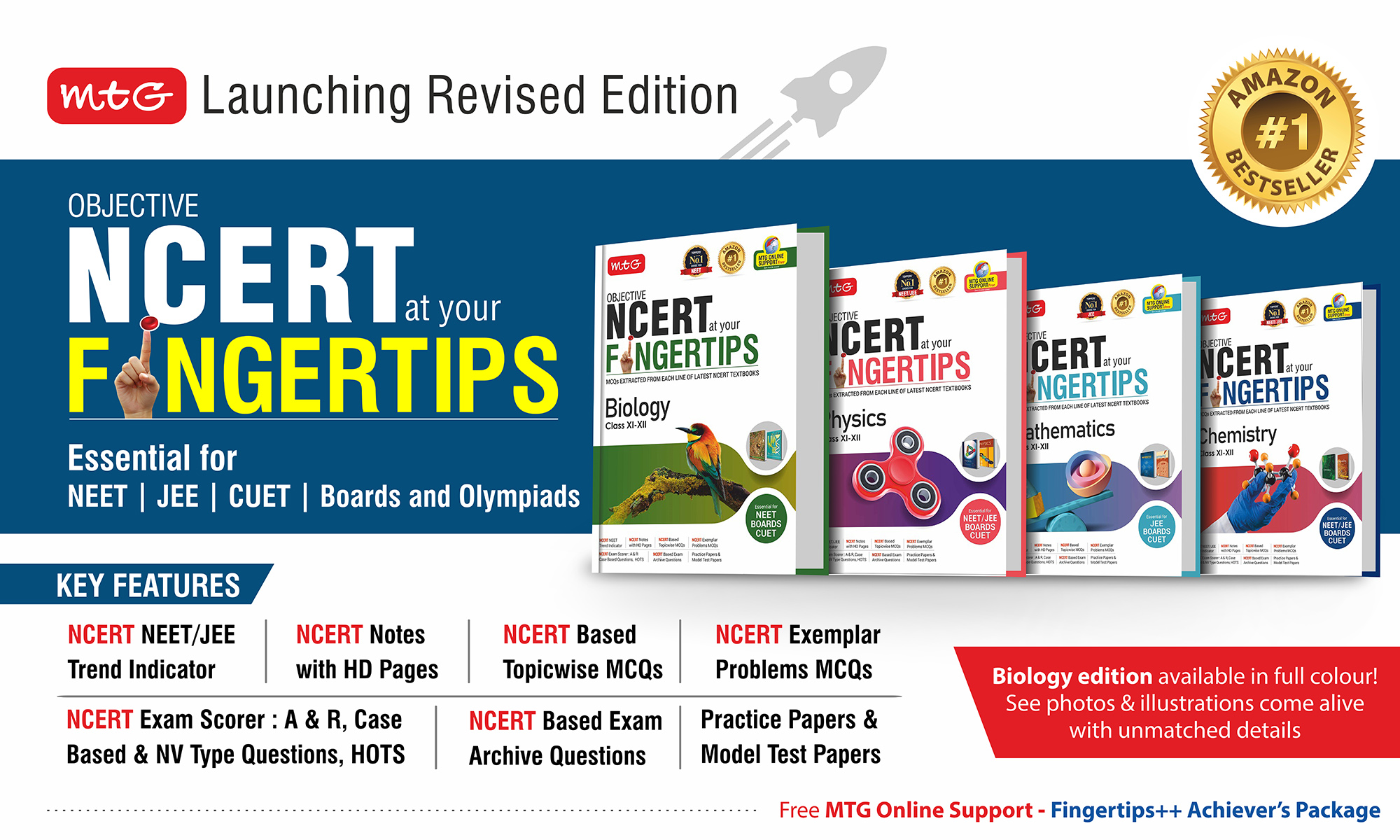 Fingertips 202324 MTG Blog