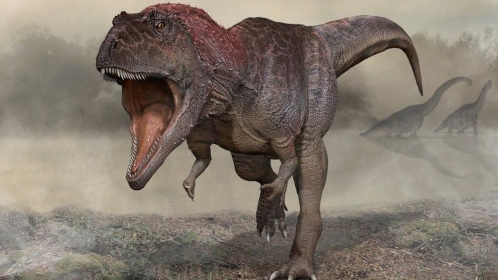 the reason for t. rex's stubby arms