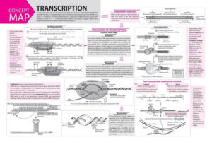 How to Learn Chemical Reactions Like A Pro! - MTG Blog