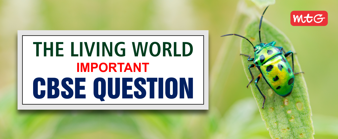 The Living World CBSE Questions 