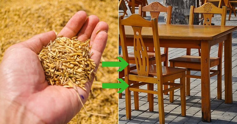 Rice Used for Furniture