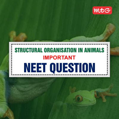 Structural Organisation in Animals NEET Questions and Answers