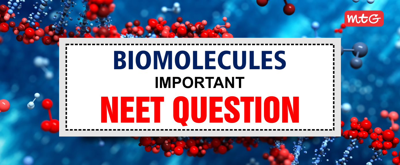 biomolecules neet questions