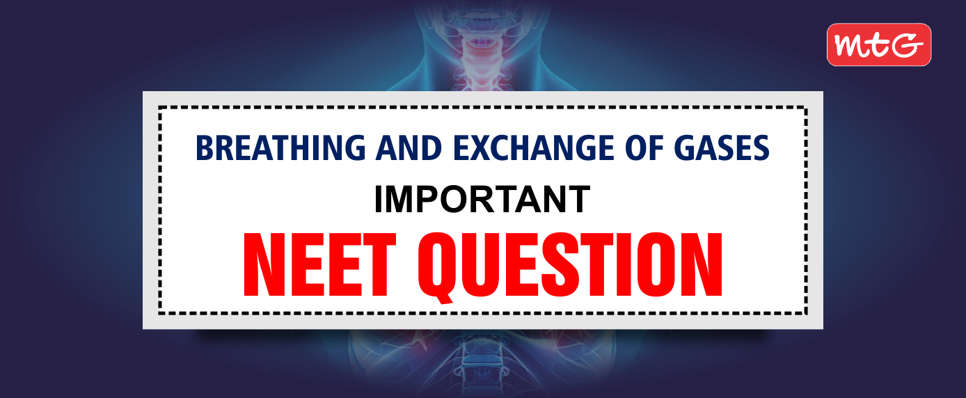 Breathing and Exchange of Gases NEET Questions