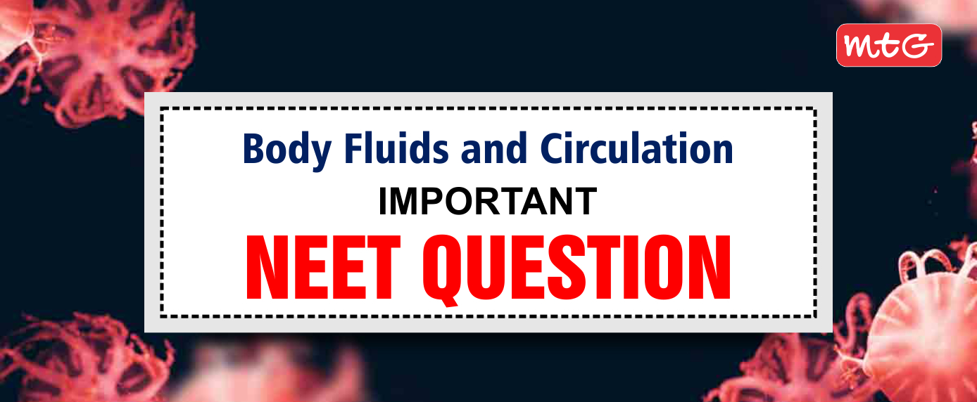 Body Fluids and Circulation NEET Questions