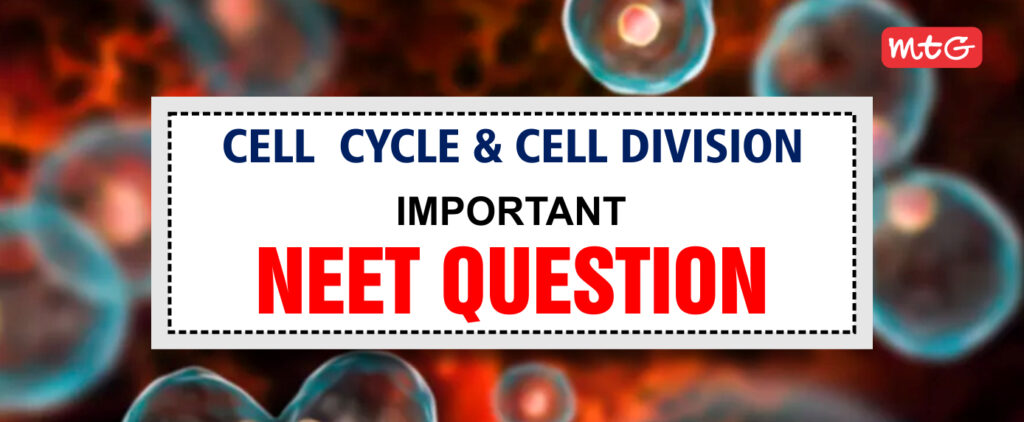 Cell Cycle And Cell Division Neet Questions With Answers