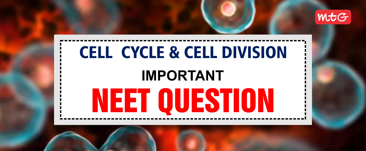 cell cycle and cell division neet questions