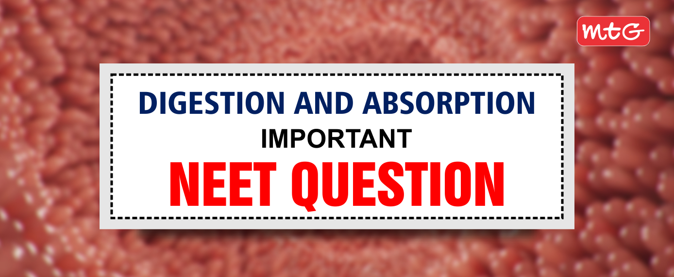digestion and absorption neet questions and answers