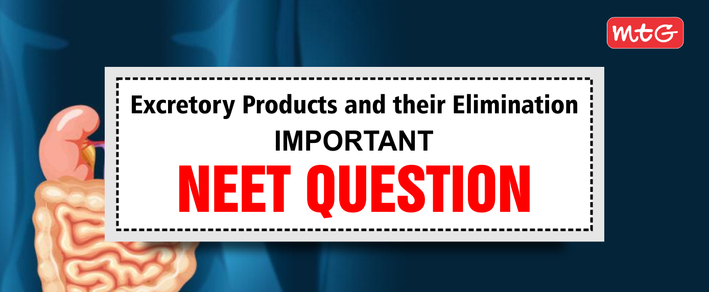 Excretory Products and Their Elimination NEET Questions