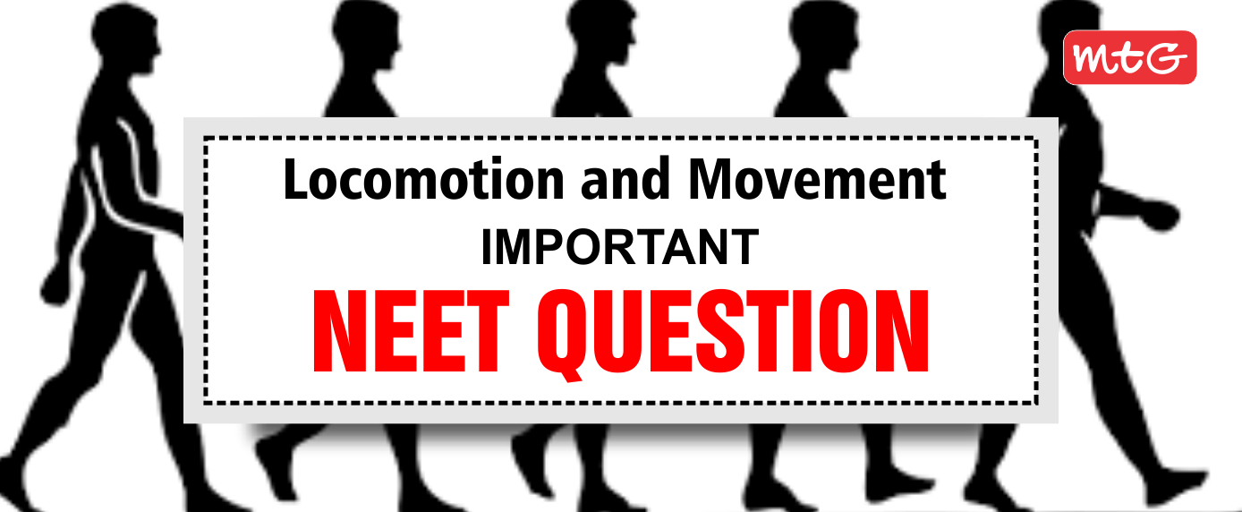 Locomotion and Movement NEET Questions