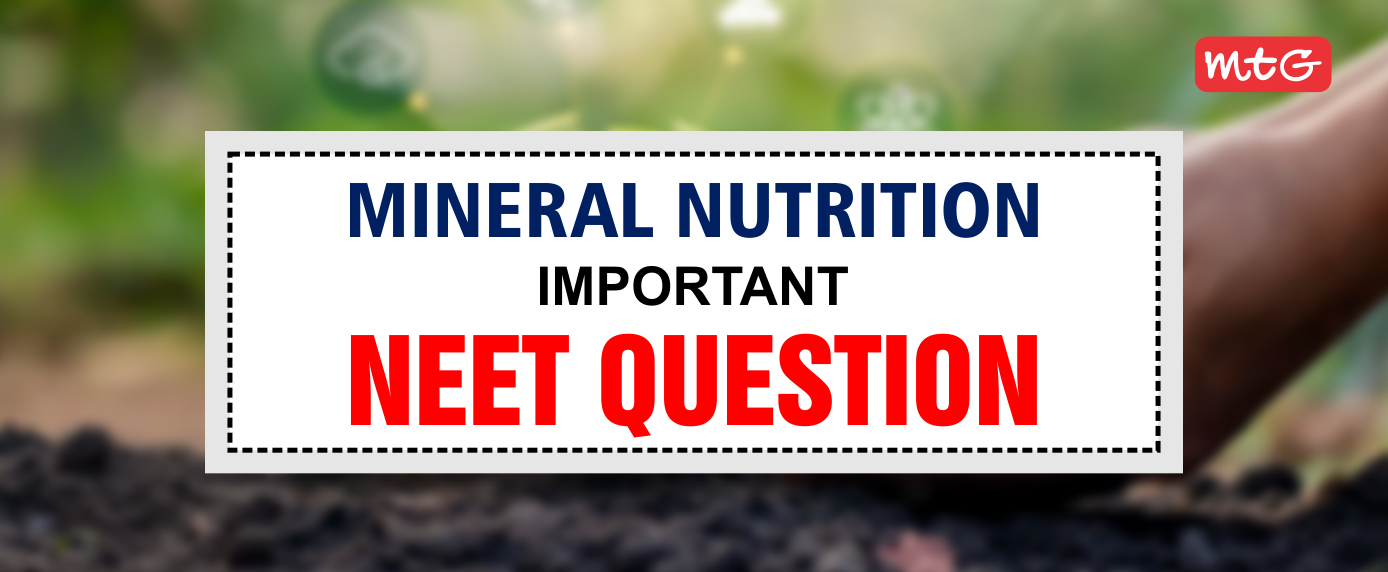 Mineral Nutrition NEET Questions and Answers