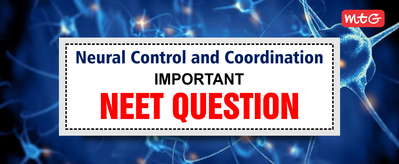 Neural Control and Coordination NEET Questions