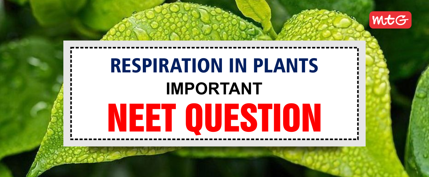 respiration in plants neet questions and answers
