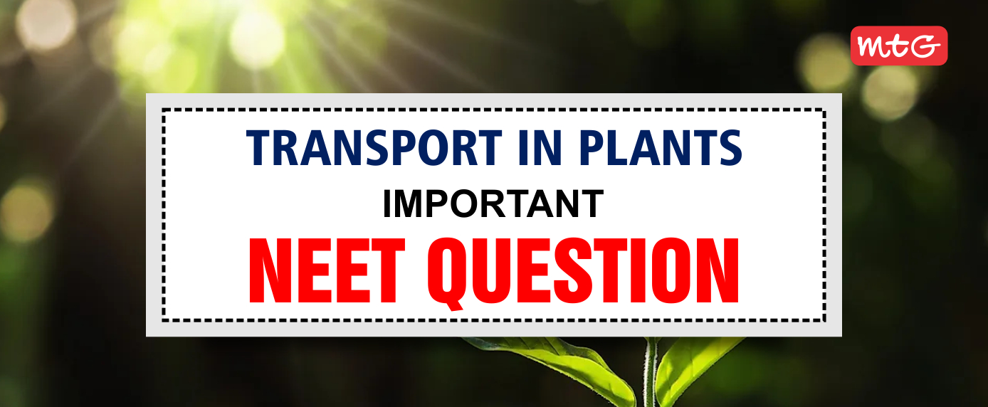 Transport in Plants NEET Questions and Answers