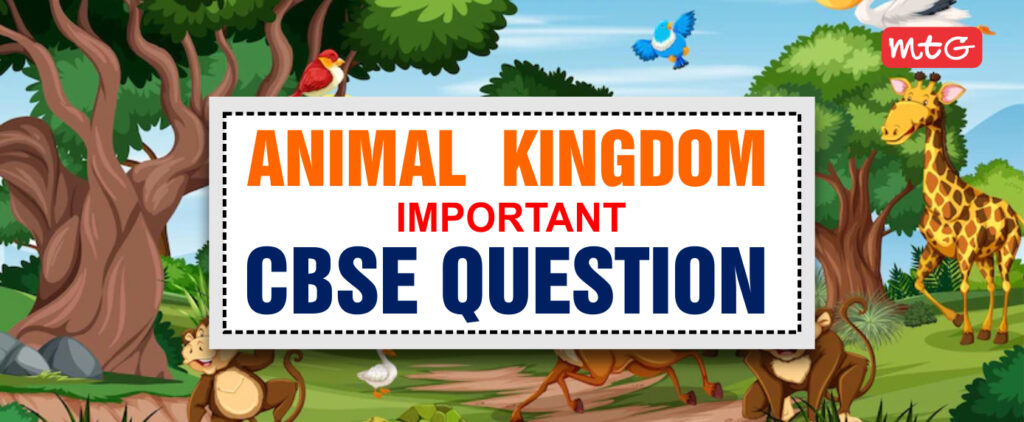 Animal Kingdom Class 11 Important CBSE Questions and Answers