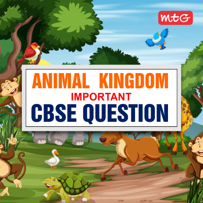 Animal Kingdom Class 11 Important CBSE Questions and Answers