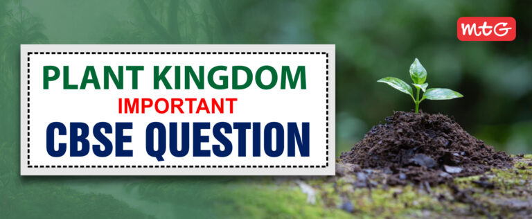 plant-kingdom-class-11-important-cbse-questions-and-answers-mtg-blog