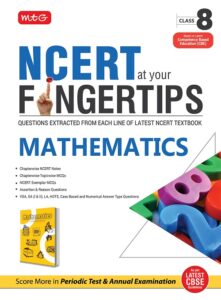 ncert at your fingertips book for class 8 