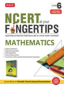 ncert at your fingertips maths book for class 6