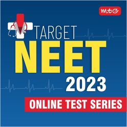 NEET Online Test Series