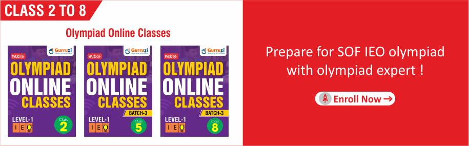 Olympiad online classes