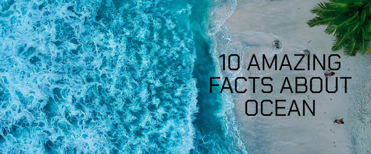 10 Amazing Facts about Ocean