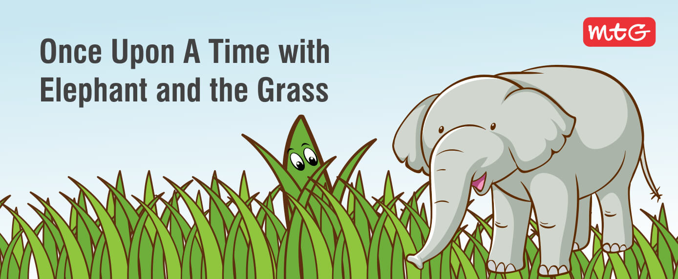 Once Upon A Time with Elephant and the Grass