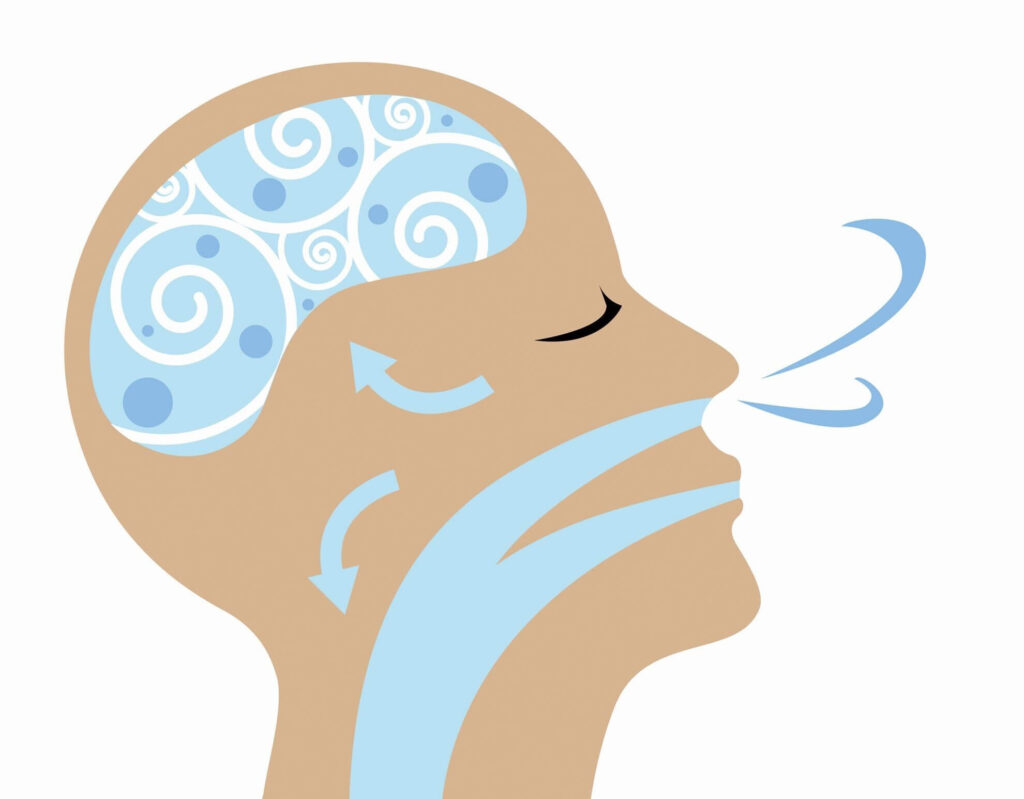 image shows that breathing will also affect your brain activity