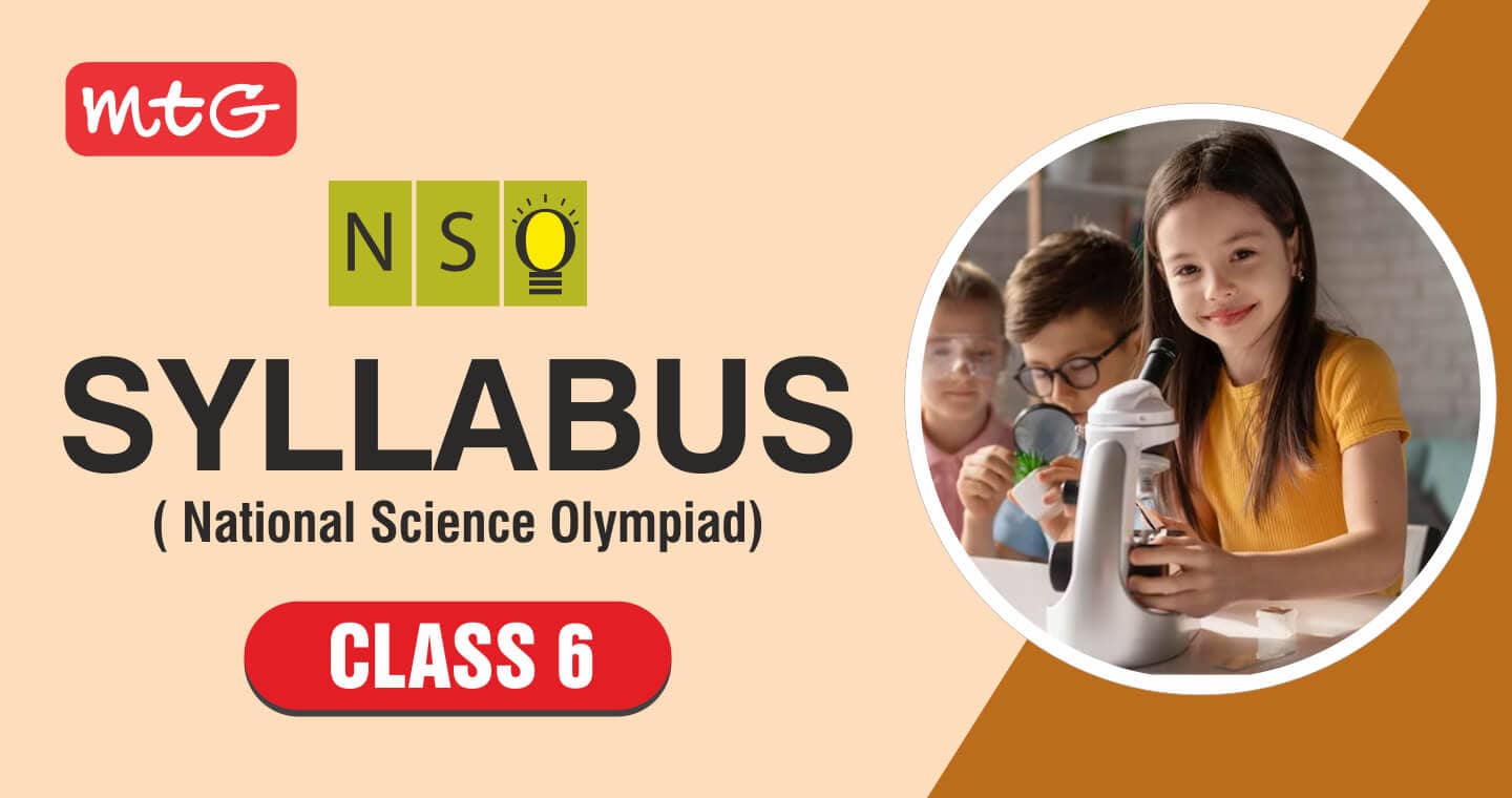 NSO Syllabus for Class 6